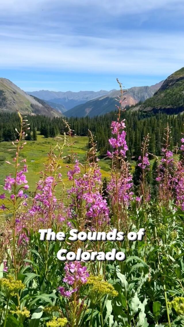 Is there anything more peaceful than the sounds of Colorado?🤩

Who else is ready for days like this?!🙋‍♂️🙋‍♀️

#colorado #visitcolorado #ColoradoLiving #SoundsOfNature #colorado_travel #ColoradoLive #usa #usatravel #coloradoadventure #teambrakeadventures #GetOutside