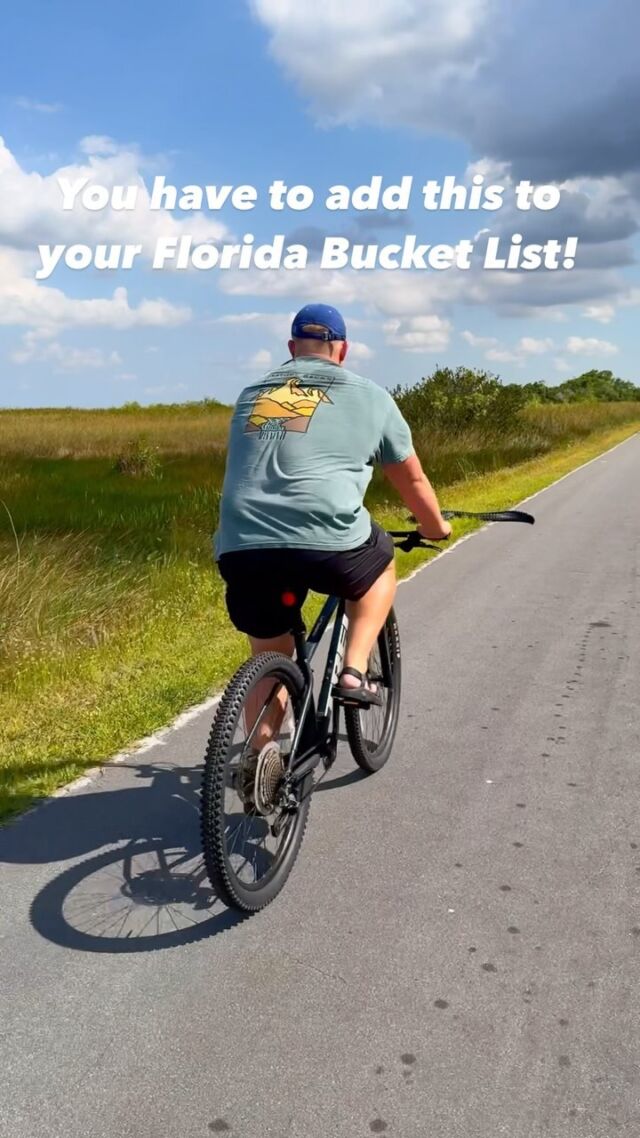 📍Add Shark Valley Loop in Everglades National Park to your Florida bucket list!🤩

This paved, 15-mile loop road winds through the heart of the Everglades, with sweeping views of some of the park’s best wildlife. The Shark Valley observation tower offers 360-degree views of Everglades and offers a bird’s eye view of alligators, fish, turtles, and birds in the lake below!📸

📆 𝗪𝗵𝗲𝗻 𝘁𝗼 𝗩𝗶𝘀𝗶𝘁
Shark Valley is open year-round, but the best time to visit is during the peak of the park’s dry season from January-March to see the most wildlife with the least bugs! 🙌

🚴 You can walk, bike, or ride a tram along the loop road. Bike rentals are available for $22 at the Shark Valley Visitor Center. 

🚎 If you want to experience Shark Valley by tram, @sharkvalleytramtours offer guided 2-hour narrated tram tours for $31 that ride passengers around the entire loop and include a stop at the observation tower.
 
🎒Be sure to bring sunscreen, bug spray, and lots of water! 

Would you bike with alligators?!🐊

#VISITFLORIDA #evergladesnationalpark #alligator #florida #floridagators #visitflorida #exploreflorida #discoverflorida #FindYourPark #nps #bucketlisttravel #teambrakeadventures